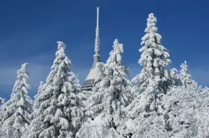 Technická Univerzita Liberec